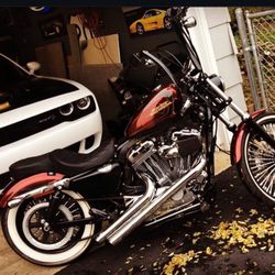  2012 sportster 72 1200 XL