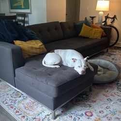 APT2B Fillmore Sectional Sofa