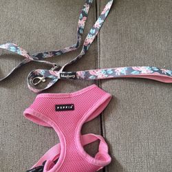 M Pink Harness And Leash 