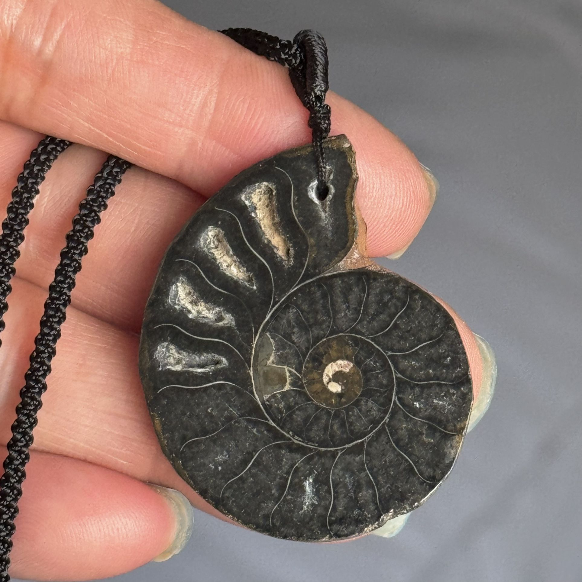 Natural Ammonite Necklace