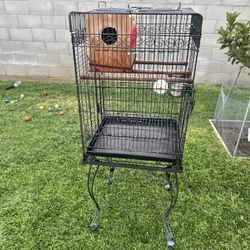 Cockatoo Bird Cage + 10lb of Food 