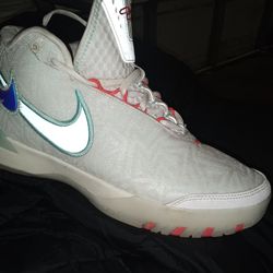 Lebron James size 11