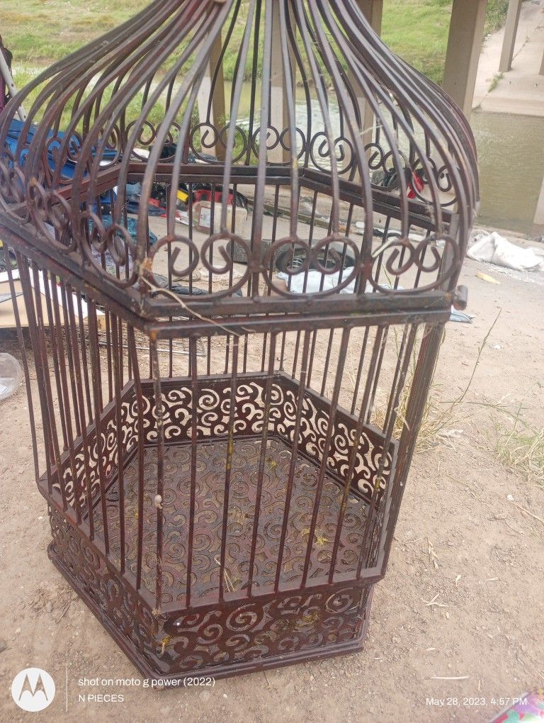 Bird Cage