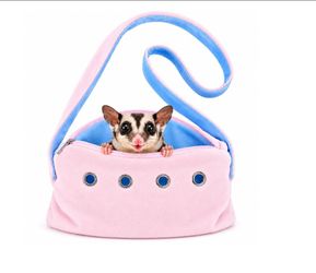 Small Pet Carrier Bag with Shoulder Strap