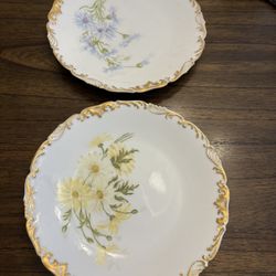 Set Of 2 Antique 1800’s  Porcelain Plates Limoges T&V
