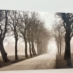 Large Scenic Wall Art 