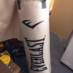 Everlast Punching Bag
