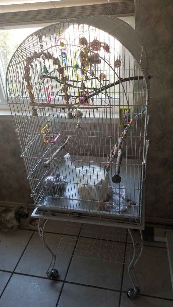 Bird Cage With Accessories