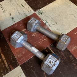 7lb & 8lb Dumbbell