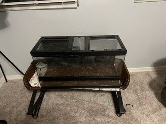Reptile Tank