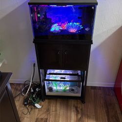 Fish Tanks