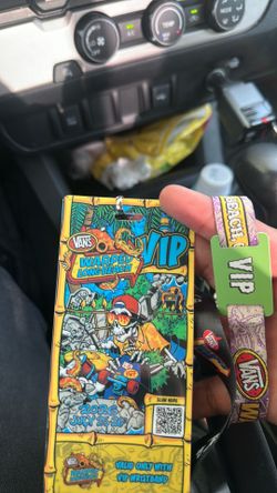 2 day Vans warped tour vip 1 pass band