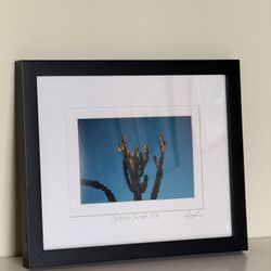 Cactus Sunset Framed Photo Art Print