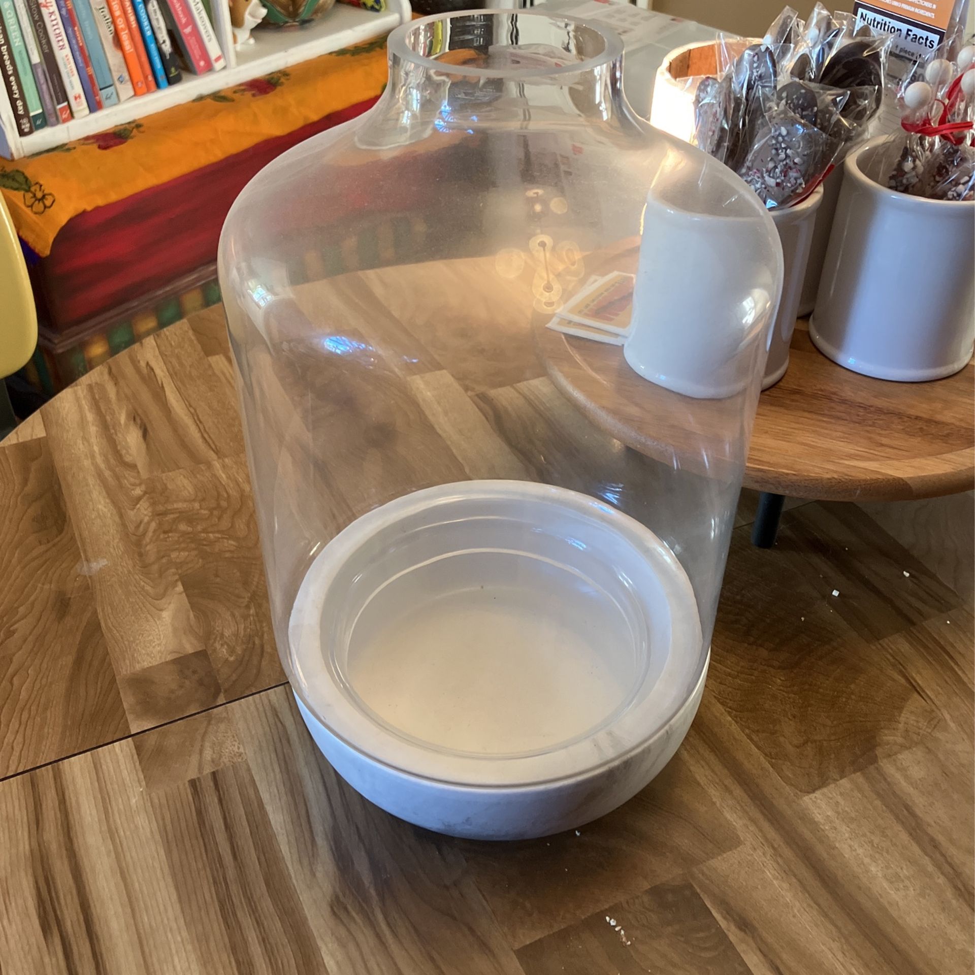 World Market Glass Terrarium w/ Marble Base