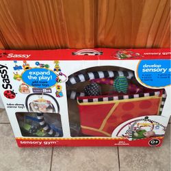 Baby Sensory Gym / Playmat 