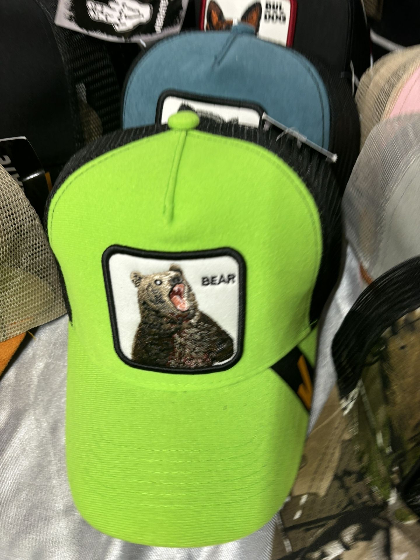 BEAR HAT
