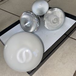 Light Bulbs