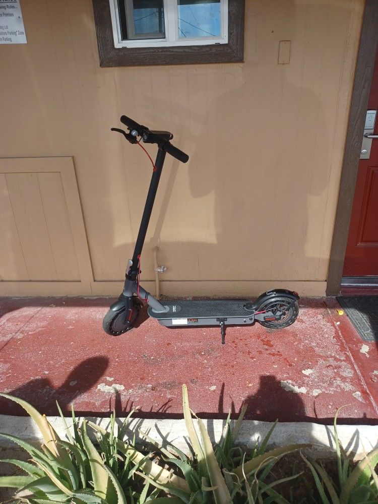 ADULT Electric Motorized Scooter