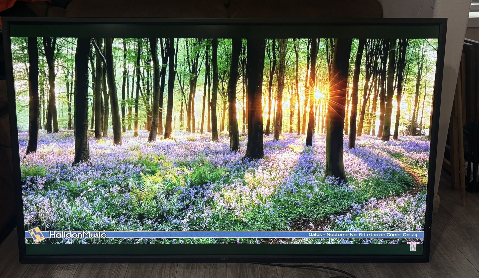 NEC E705 LCD Monitor