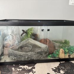 Reptile Tank