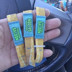 Stagecoach Rhinestone Sunday