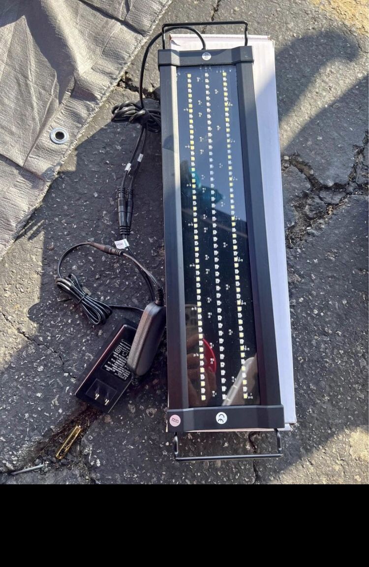 Brand New Fish Light