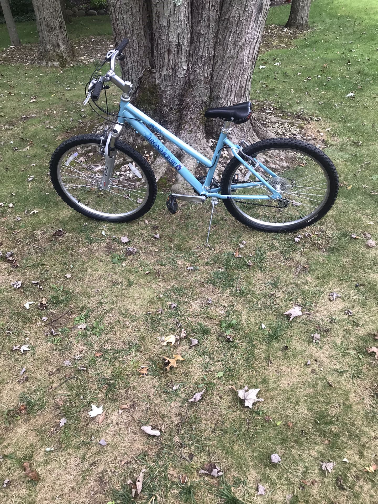 Mountain Bike Jerry Schwinn Bike Shop 26” Iron Horse Mountain Bike