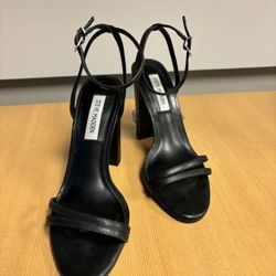 Steve Madden Size 7. 