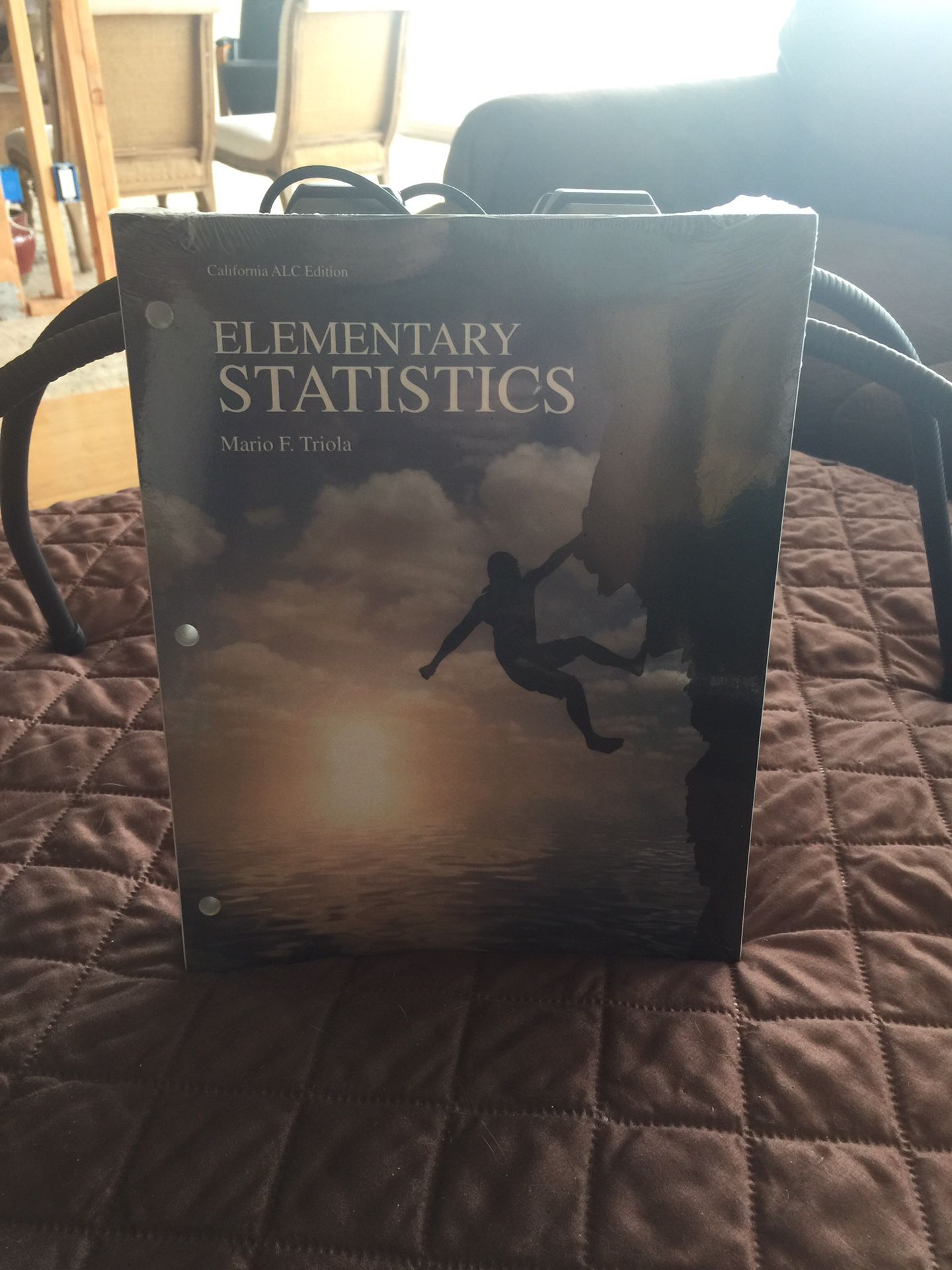 Elementary Statistics