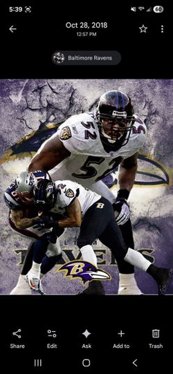 Baltimore Ravens Ray Lewis Photo 
