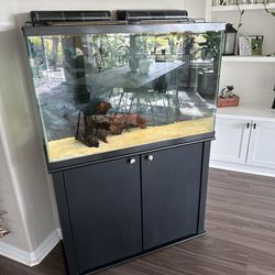 45 Gallon aquarium With Fish