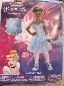 Cinderella Costume