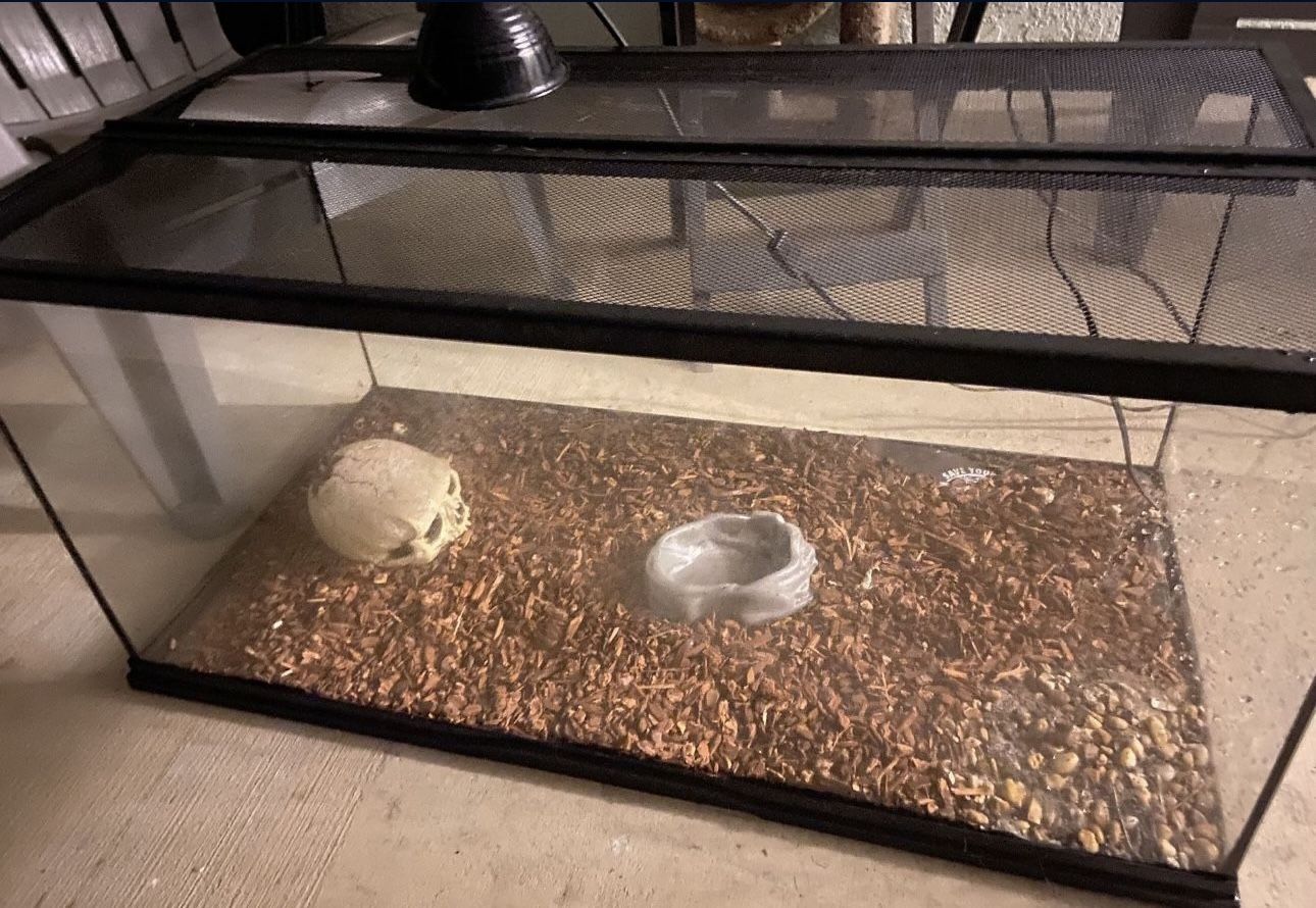 50 Gallon Tank