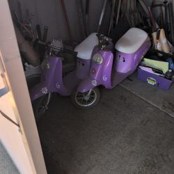 Electric Scooter S