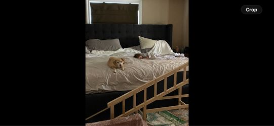 Large Dog Ramp