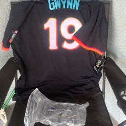 Brand New Gywnn Jersey 2x
