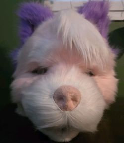 Unfinished premade fursuit headbase. cat/fox