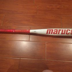 Baseball Bat