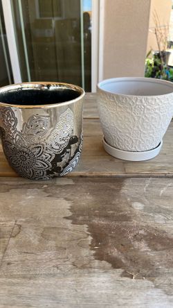 Plants pots used
