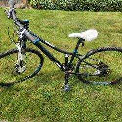 Trek Womens Bike 14" XS
