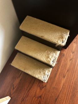 Cat dog steps