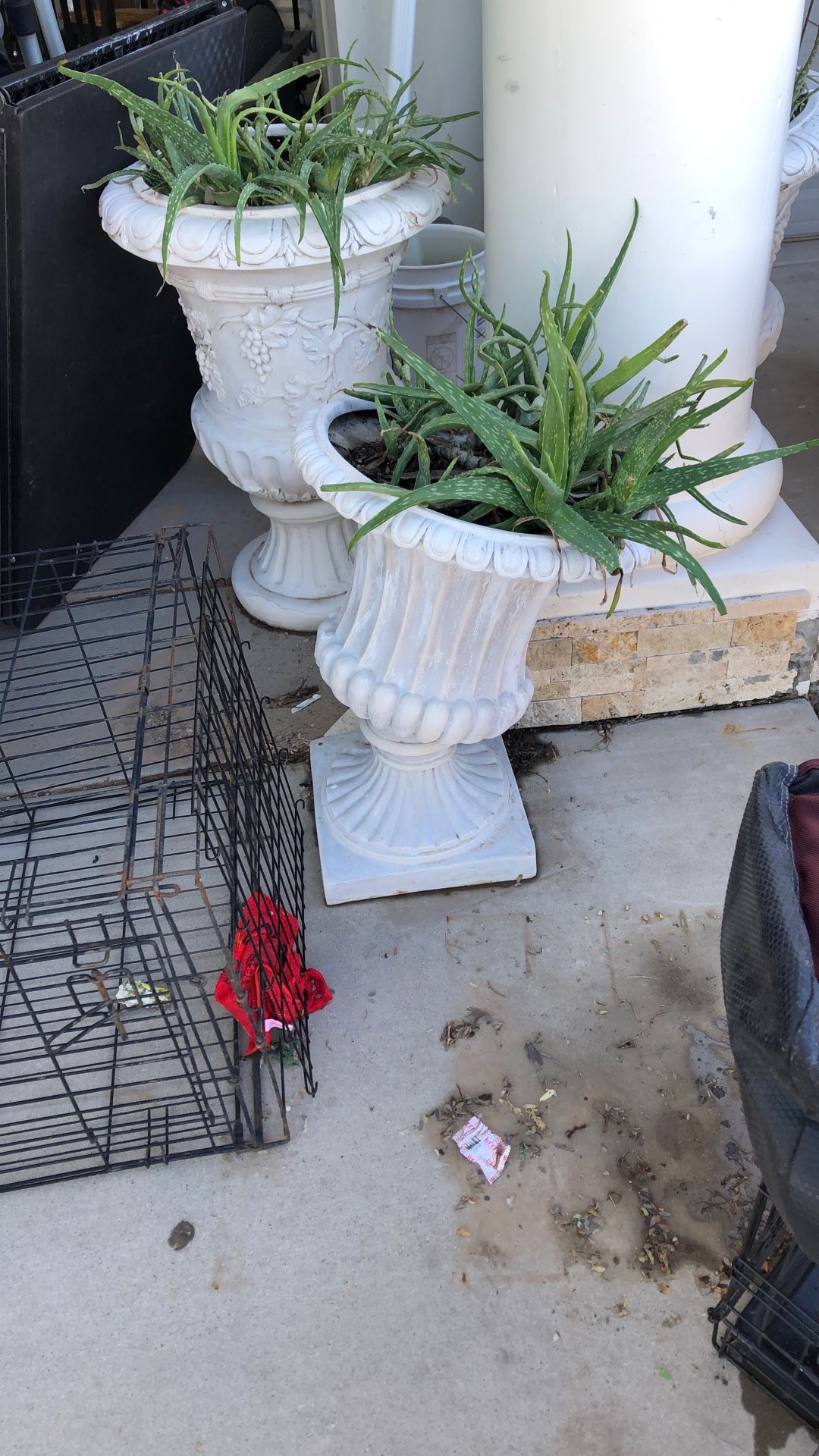 Base With Plant