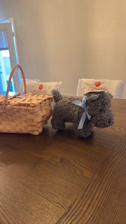 wizard of Oz Dorothy basket and plush Toto
