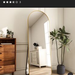 Target Full Length Mirror