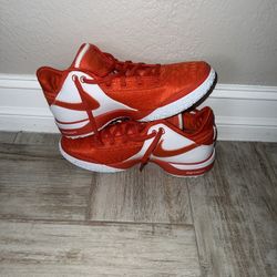 Size 10.5 - Nike Zoom LeBron NXXT Gen TB Promo Team Orange