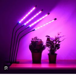 Grow Lights 