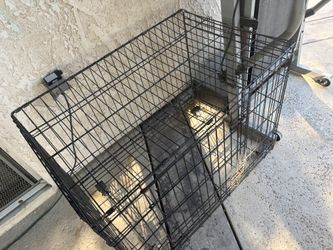 Animal Cage
