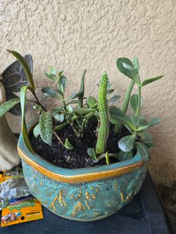 Plants with pots and plant stands