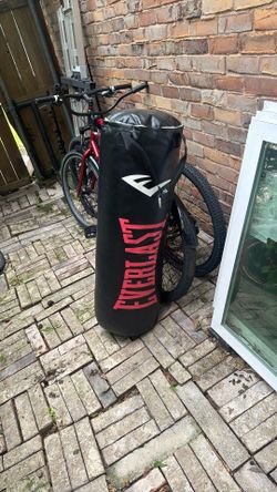 Everlast punching bag