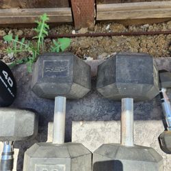 Dumbbells And Ab Bench